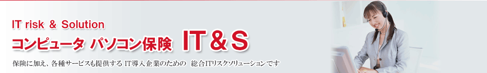 損保ジャパン コンピュータ保険 ＩＴ＆Ｓ