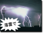 情報機器等担保特約